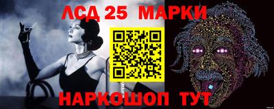 спайс Малгобек