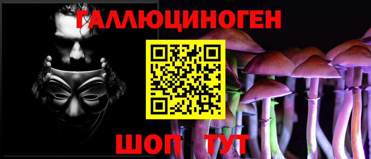 Сосновый Бор  Псилоцибиновые грибы мухоморы  Вход с VPN 
